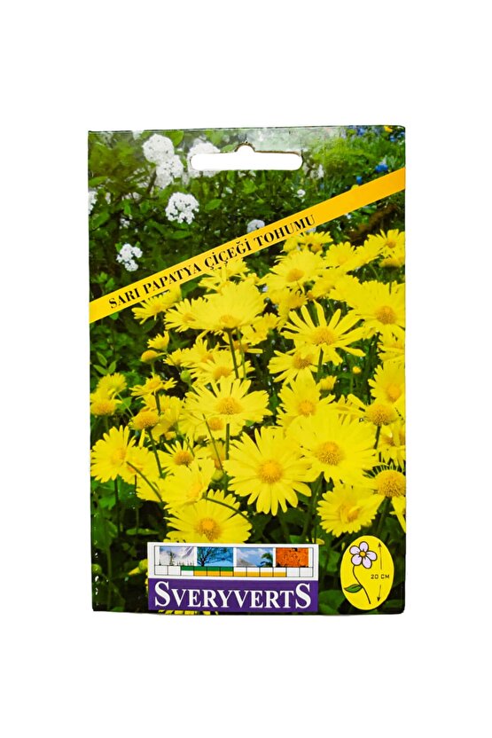 Sarı Papatya Tohumu