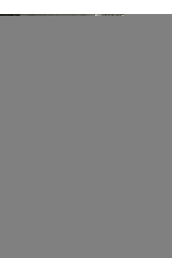 Katlanır Piknik Seti | Masalı Silikon Sepet Kamp Çantası