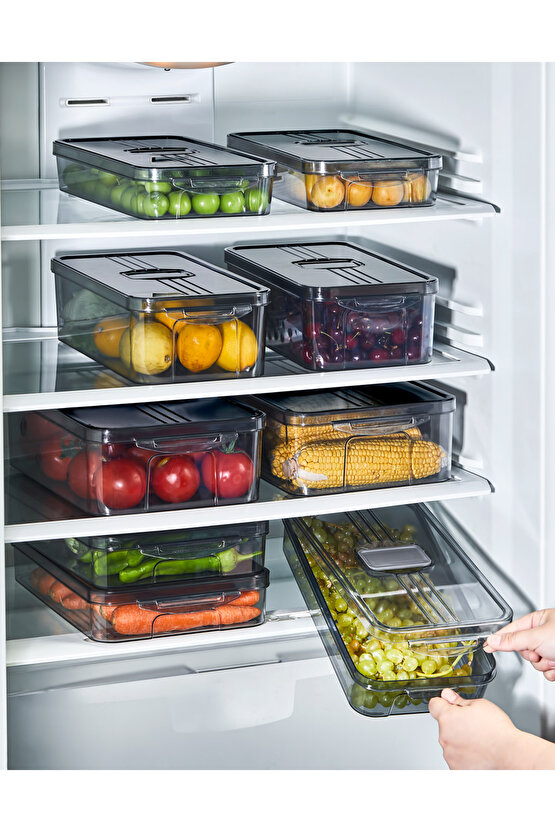 4x Adet Füme 3 Lt  Frostora Kapaklı Buzdolabı Organizeri & Saklama Kabı & Düzenleyici & Erzak Kabı