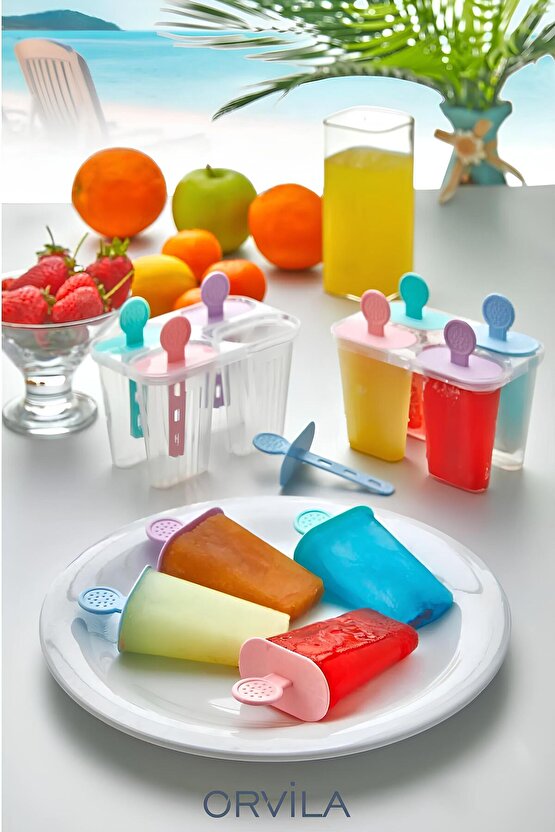 4lü Dondurma Kabı ve Meybuz Kalıbı Kabı