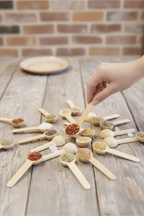 6lı Ahşap Küçük Ölçek Baharat Kaşığı - Oval