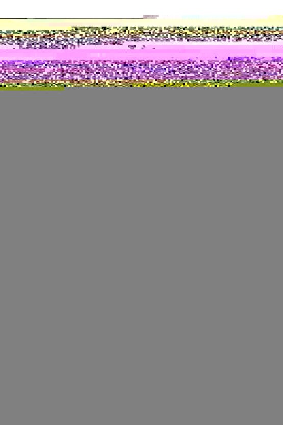 Tencere Kapak Tutucu ve Kepçe Altlığı - Kaşıklık