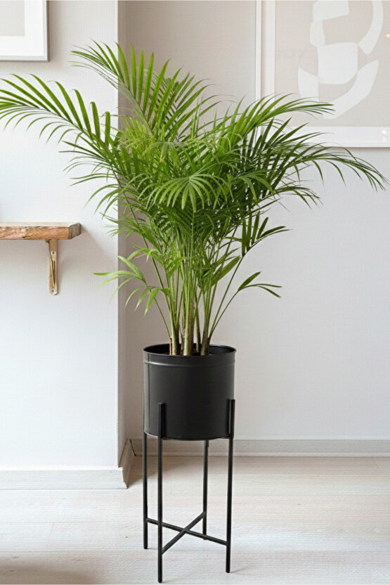 Siyah Dekoratif Ayaklı Metal Çiçeklik | 45 Cm Saksılık