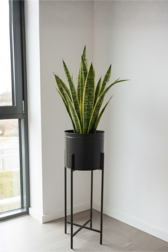 Siyah Dekoratif Ayaklı Metal Çiçeklik | 72cm Saksılık