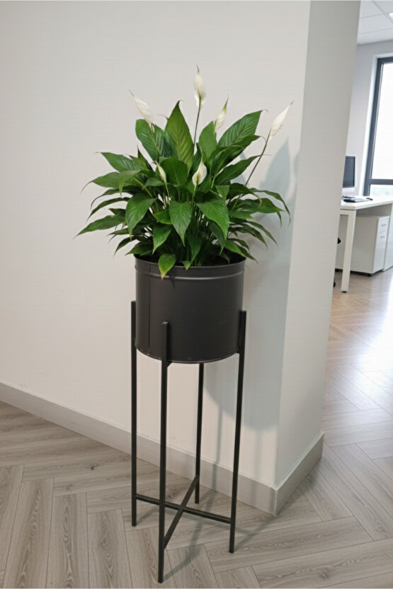 Siyah Dekoratif Ayaklı Metal Çiçeklik | 72cm Saksılık