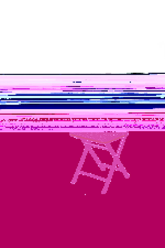 Bistro Sandalye Katlanır Minderli Bahçe Sandalyesi