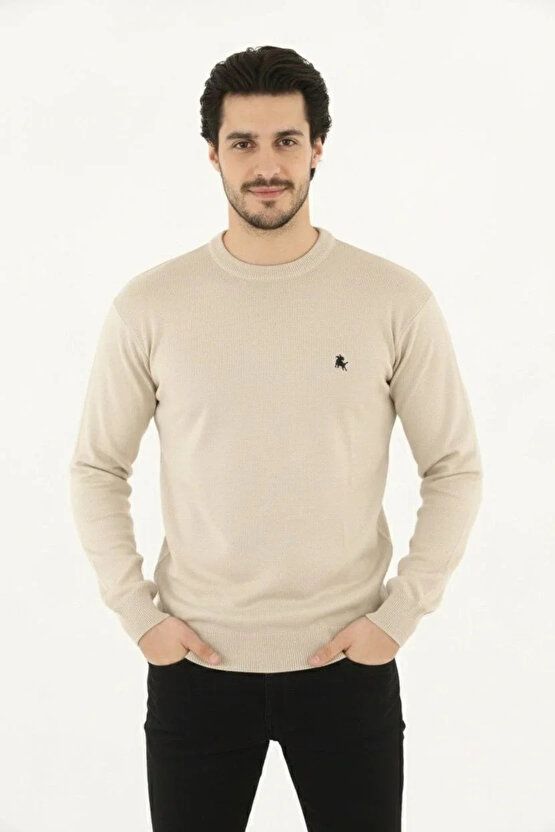 Erkek Bisiklet Yaka Nakış işlemeli Triko Kazak yumuşak dokulu Pamuklu ince Dokuma, uzun kollu Rahat