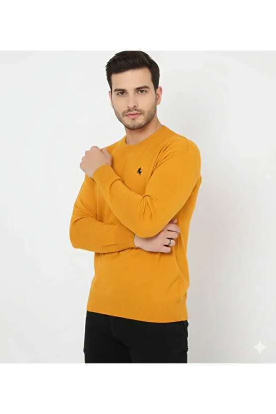 Erkek Bisiklet Yaka Nakış Işlemeli Triko Kazak Yumuşak Dokulu Pamuklu Ince Dokuma, Uzun Kollu Rahat