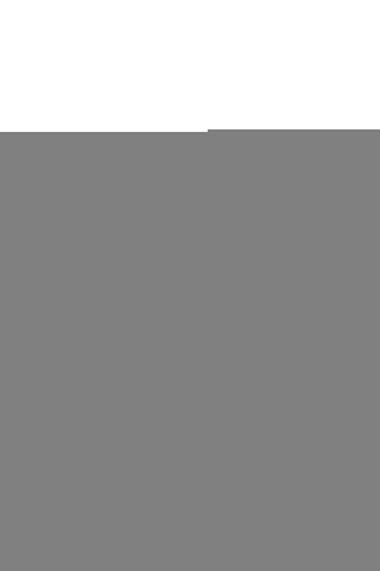 Kadın Uzun Kollu V Yakalı Dantelli Taşlı Sandy Bluz