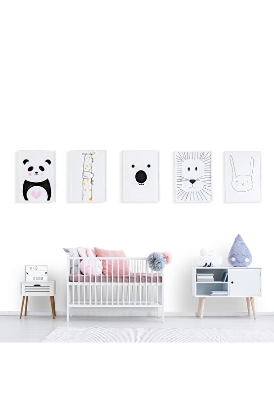 Momento Plus Mat Plastik Iç Cephe Boyası