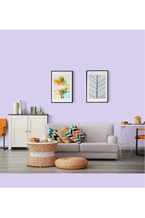 Momento Max Tam Silinebilir Ve Yıkanabilir Silikonlu Iç Cephe Boyası