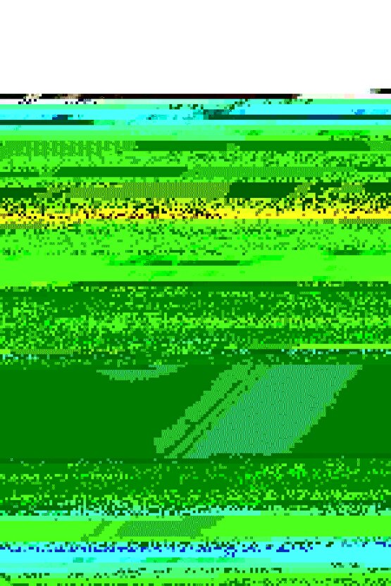 Kadın Yüksek Bel Paçaya Doğru Geniş Deri Pantolon