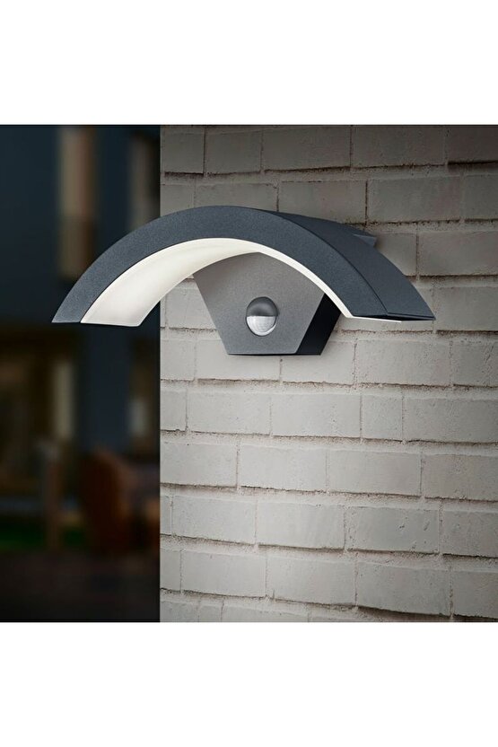 Unisex Uzun Kol Baskılı Bomber Ceket - Siyah