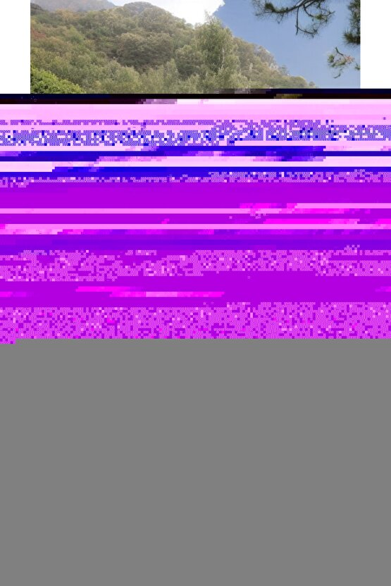 EQURİ Kadın Kısa Dantel Kollu önden Düğmeli Viskon Elbise