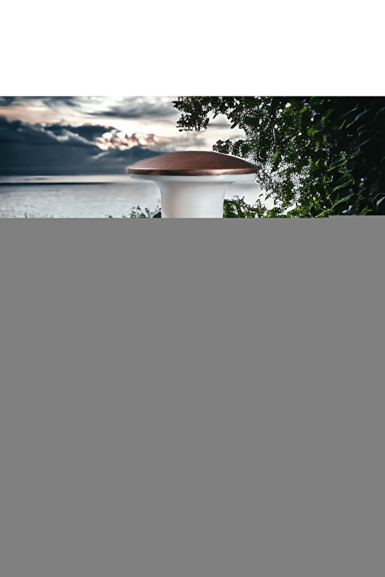 Kadın Kolsuz Boyundan Bağlamalı Beli Lastikli Dijital Baskı Süprem Uzun Elbise