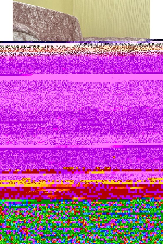 Kız Çocuk Bisiklet Yaka Baskılı T-Shirt - Beyaz