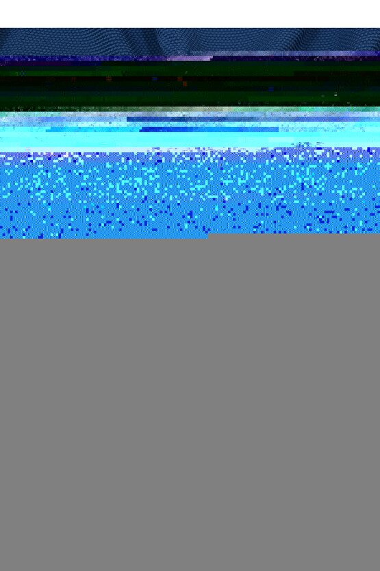 Üç İplik Penye Uzun Kol Kapüşonlu Baskılı SweatShirt - Beyaz