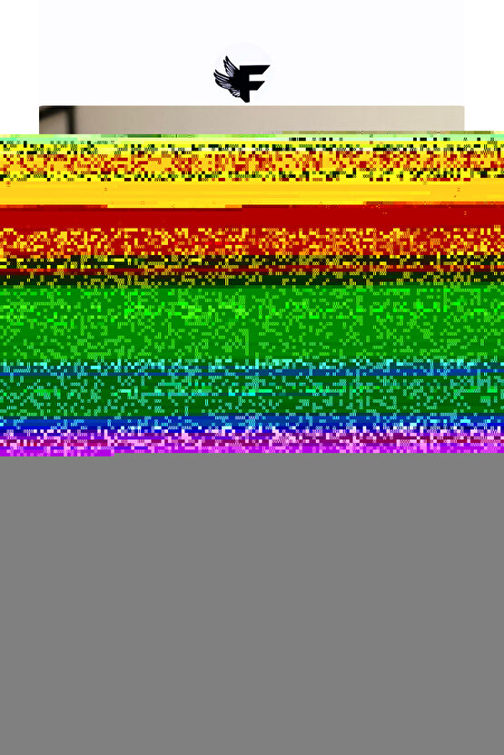 Erkek çizgi Dokulu çıtçıt Yakalı Kısa Kollu T-shirt