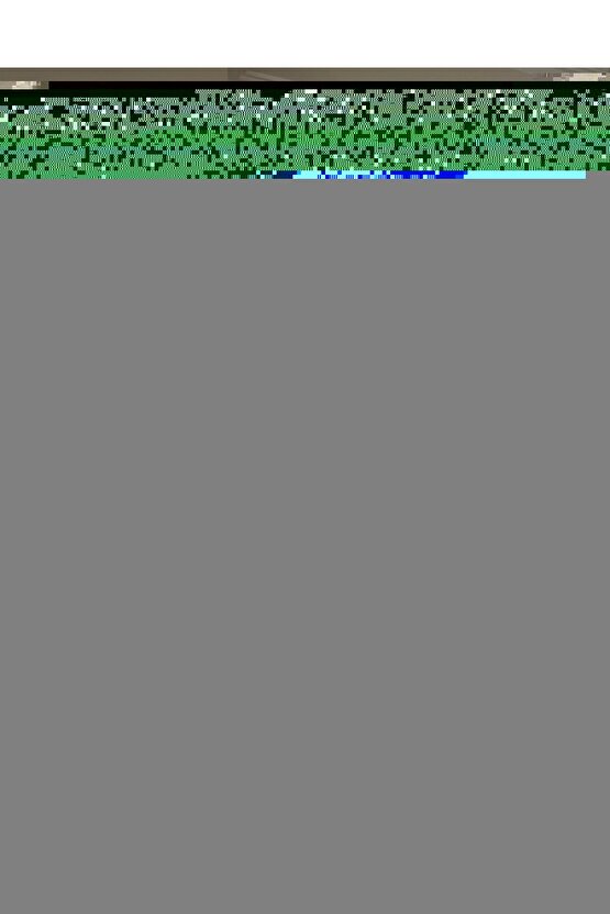 Plastik yuvarlak kase 250 cc Bodega  30 adet - kapaklı