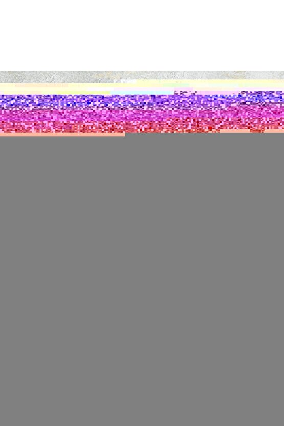 Kadın Kısa Kollu Bisiklet Yaka Kelebek Baskılı Süprem Ikili Takım