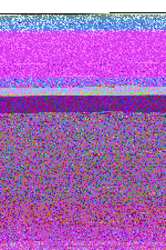 Cam Tablo Meyve Smoothie Duvar Sanatı