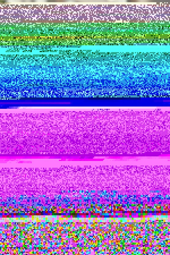 Erkek Fermuarlı Yakalı Kısa Kollu T-shirt