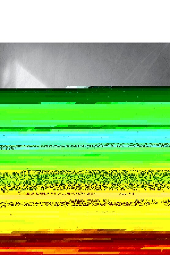 Erkek çıtçıt Düğmeli Kısa Kollu Gömlek