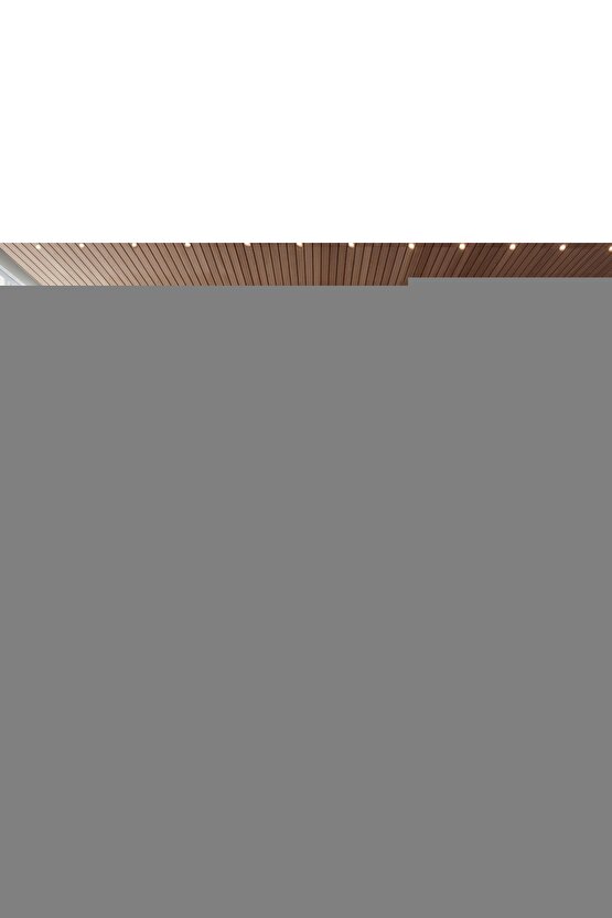 Kadın Kısa Kollu V Yaka Cepli A Kesim Detaylı Viskon Elbise