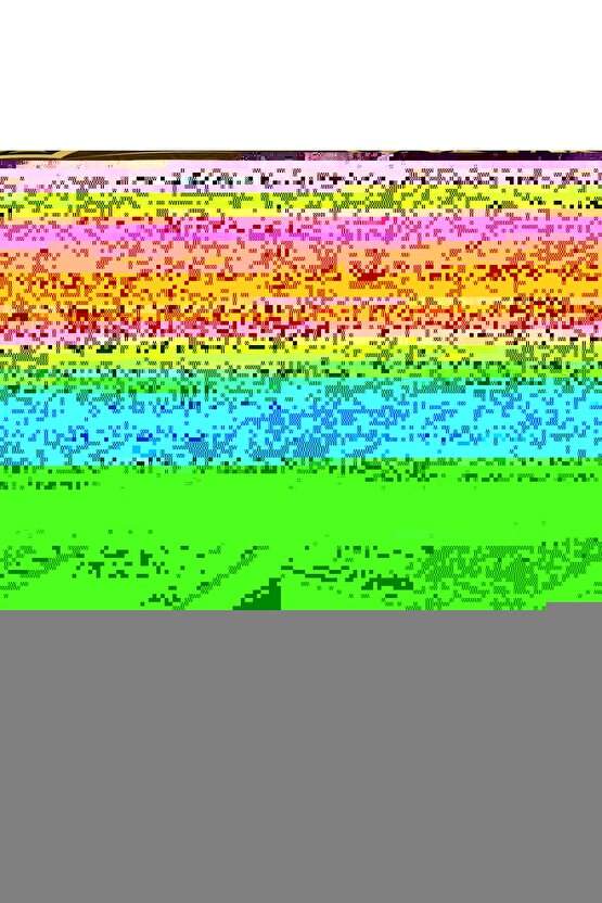 Erkek Polo Yaka Fermuar Detaylı Tişört