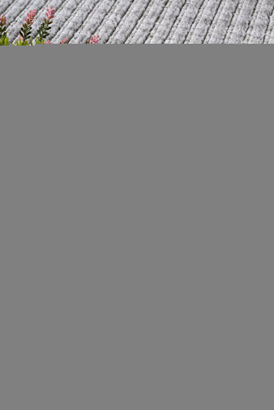 Unisex Bisiklet Yaka Baskılı Oversize T-Shirt - Siyah