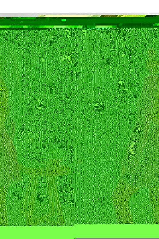 0604-Krem Kumaş Bordür Sisal Jut Halı Kilim Hav Toz Vermez Kolay Temizlenen Hasır Kilim