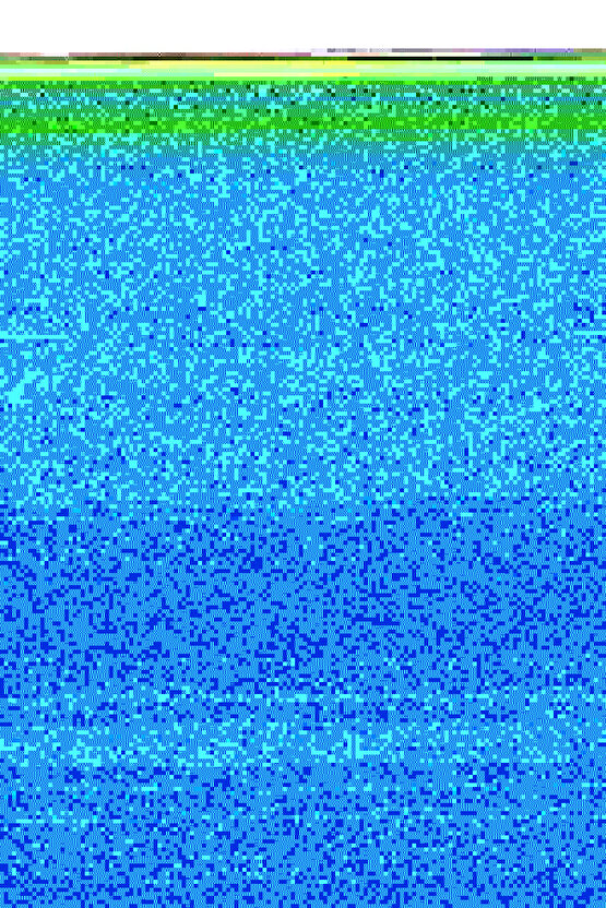 0408-Kahve Kumaş Bordür Sisal Halı Kilim Hav Toz Vermez Kolay Temizlenen Hasır Kilim