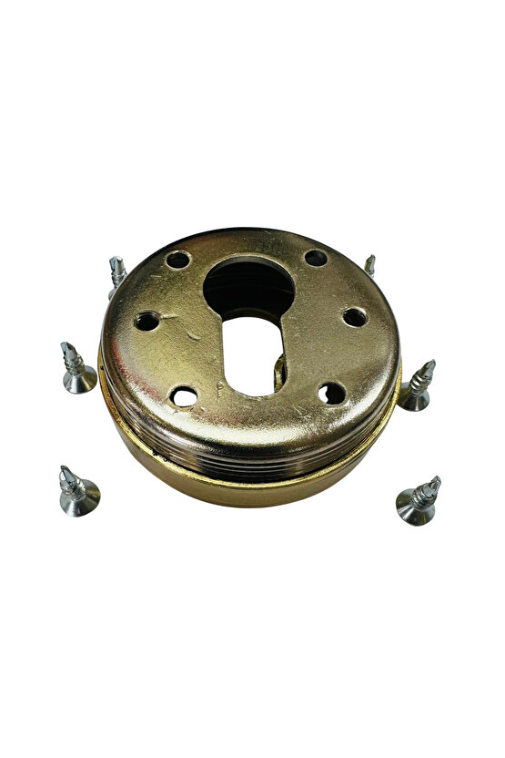 Çelik Rozet 6 VİDALI SARI