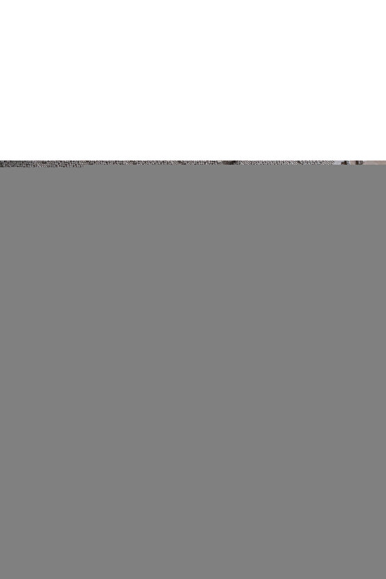 Summit Trek Erkek Siyah Sneaker Ayakkabı 3028345-004