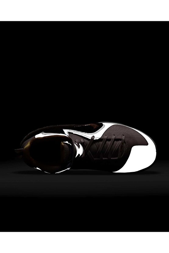 Lebron Retro Ix Regal Pink And Velvet Brown Dj3908-600