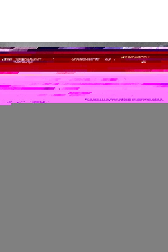 Romantik Kiraz Çiçeği Yolu Duvar Tablosu