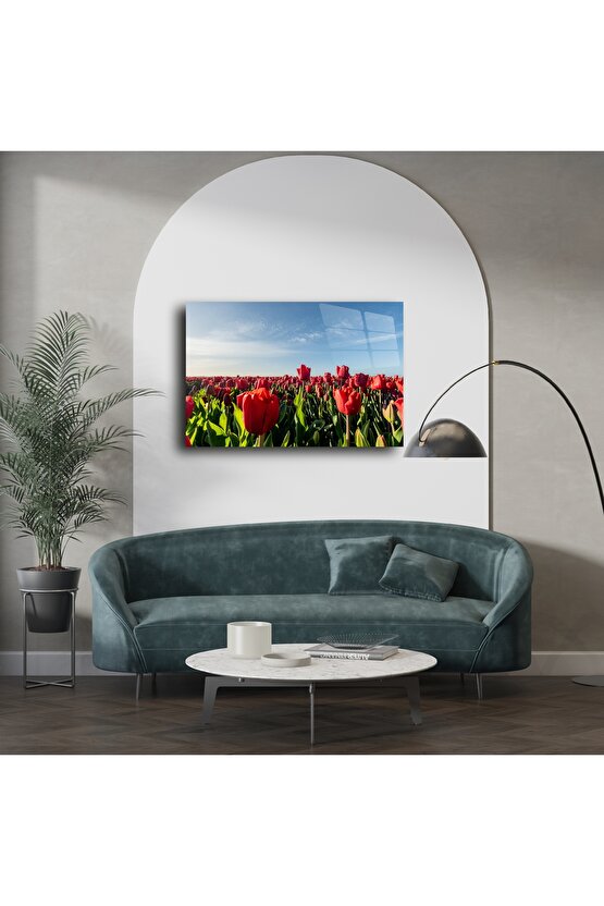 Panoramik Kırmızı Lale Tarlası Cam Tablo