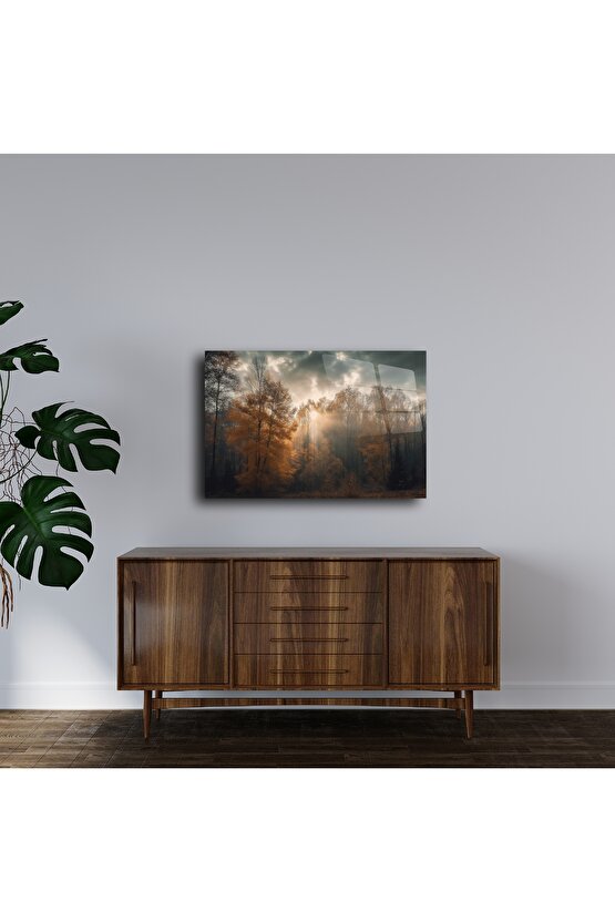 Sisli Orman Temalı Cam Duvar Tablosu