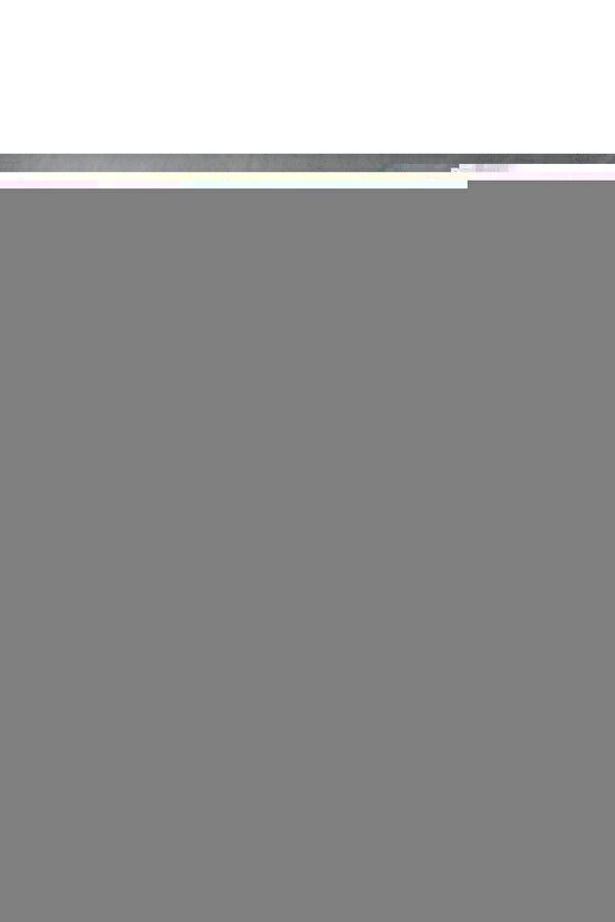 Büyülü Orman Mantar Duvar Sanatı