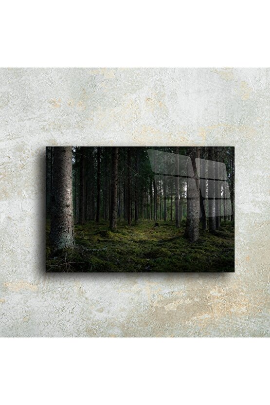 Doğal Orman Manzaralı Cam Tablo
