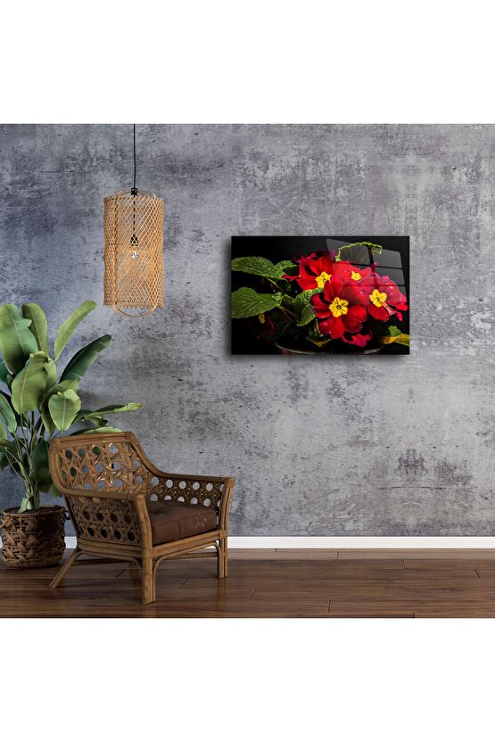 Kırmızı Primula Çiçekli Cam Tablo