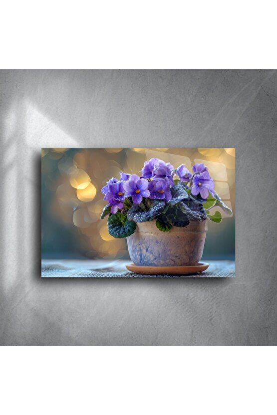 Mor Menekşe Saksı Fotoğrafı Cam Tablo
