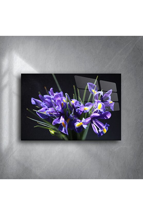 Mor İris Çiçeği Cam Tablo