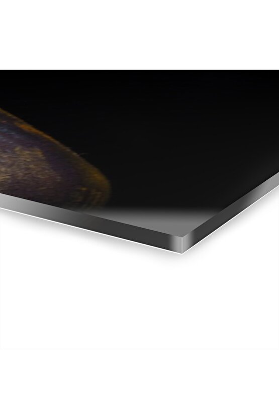 Kadın Model Cam Tablo Duvar Dekoru 2