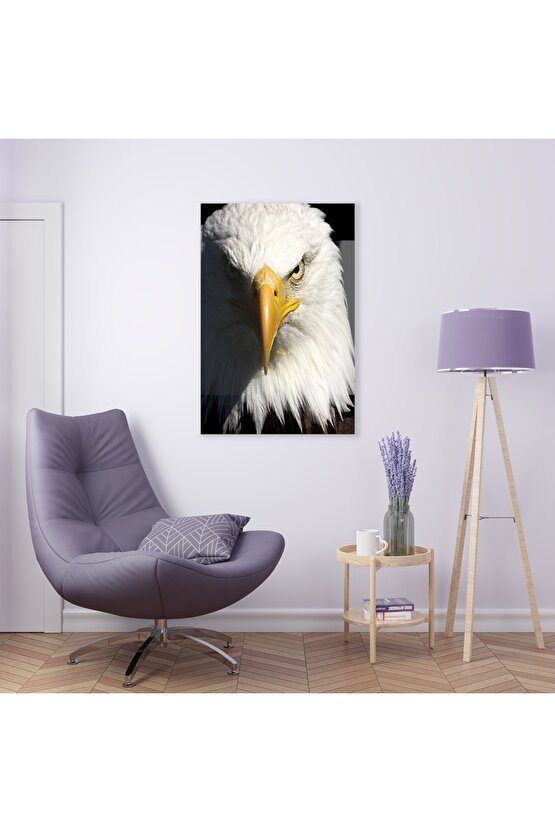 Beyaz Renkli Kartal Kafası Cam Tablo Duvar Dekoru