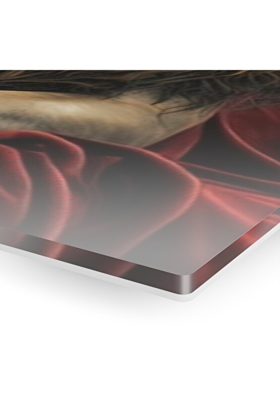 Aslan Kral Cam Tablo Duvar Dekoru