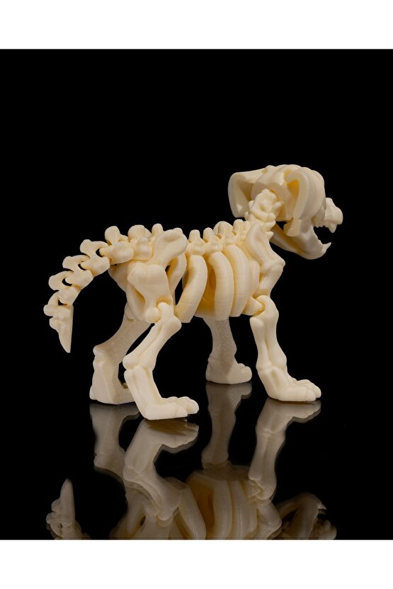 İskelet Köpek (iskelet koleksiyonu)