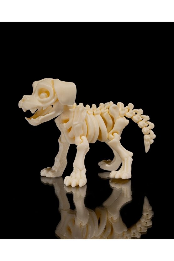 İskelet Köpek (iskelet koleksiyonu)