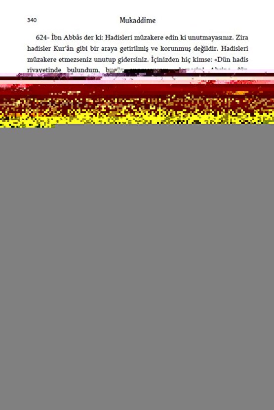 582 Geniş Askılı Çıtçıtlı Body 12 Adet