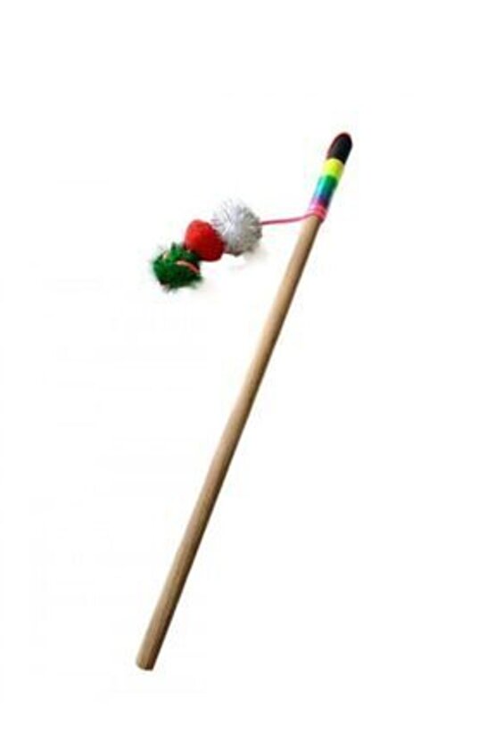 Pedi?paws Kedi?Oltasi